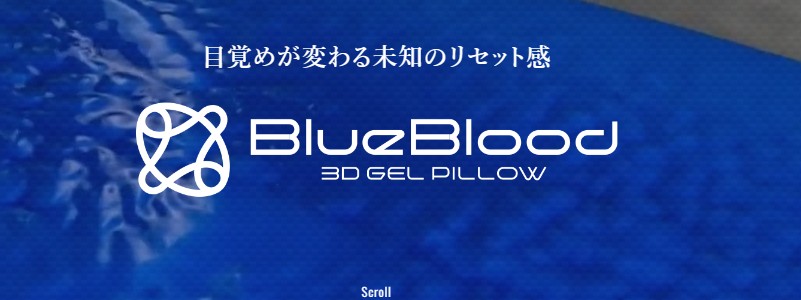 首・肩のお悩みに高評価の枕【ブルーブラッド本店】情報サイト